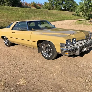 1974 Buick LeSabre Luxus