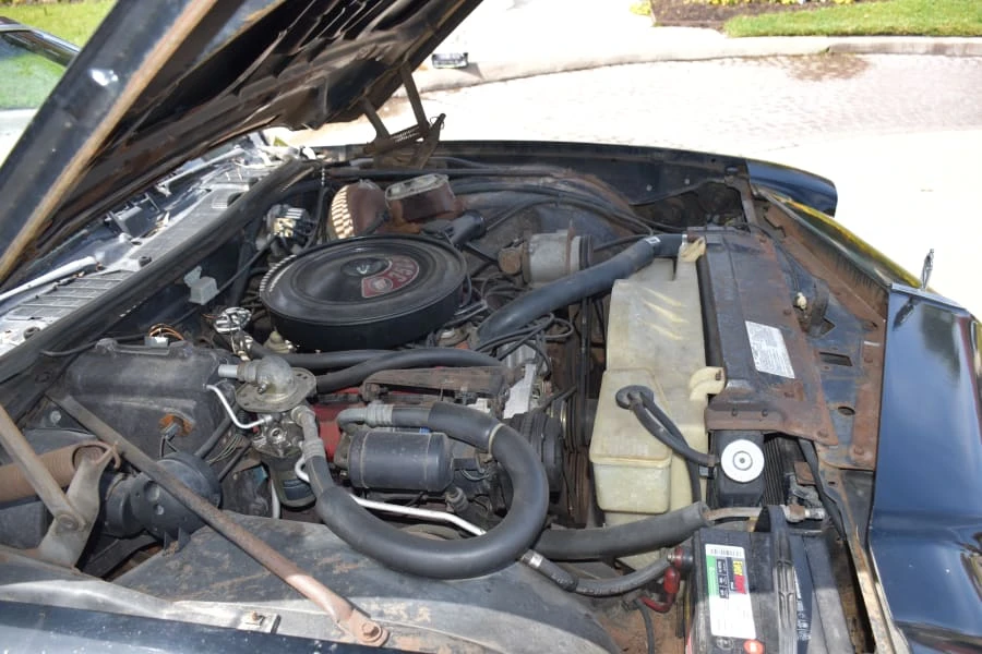 1974 Buick Regal - Image 15 of 16