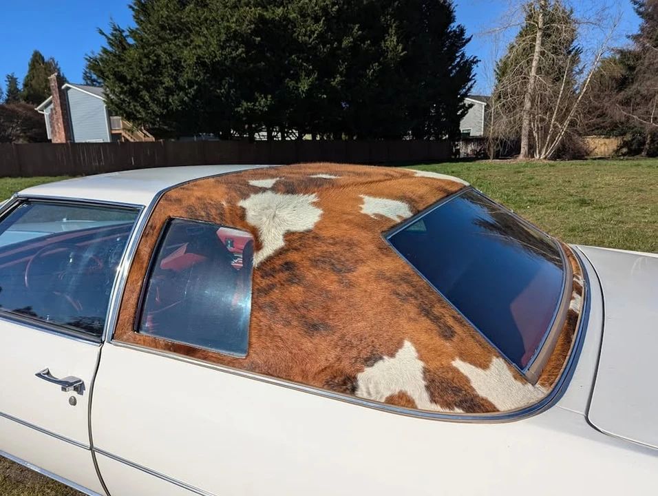 1974 Cadillac DeVille 4th Gen - Image 5 of 20