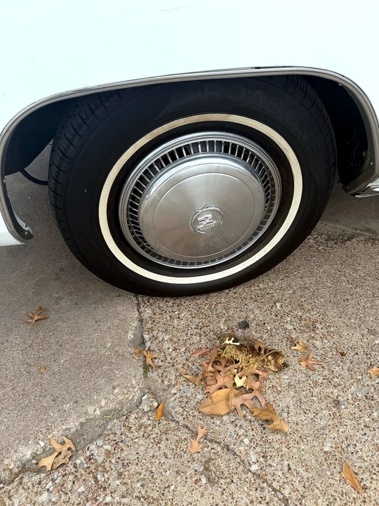 1974 Cadillac Eldorado 9th Gen - Image 19 of 22