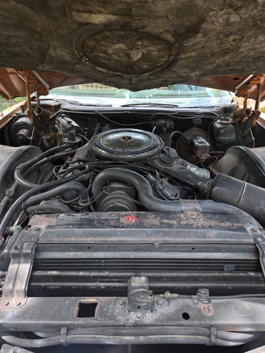 1974 Cadillac Eldorado 9th Gen - Image 4 of 31