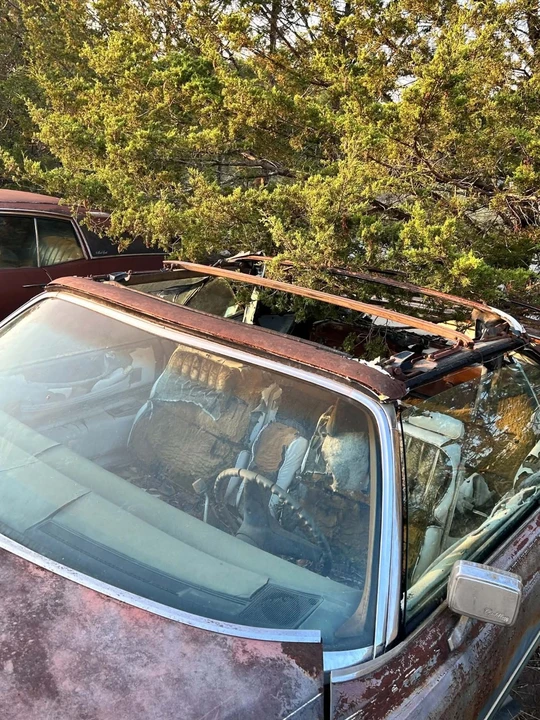 1974 Cadillac Eldorado 9th Gen - Image 8 of 16