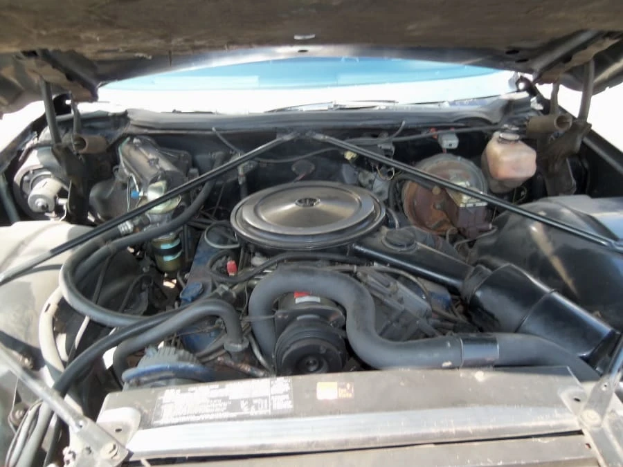 1974 Cadillac Sixty Special - Image 5 of 6