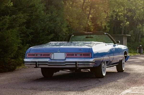 1974 Chevrolet Caprice - Image 10 of 21