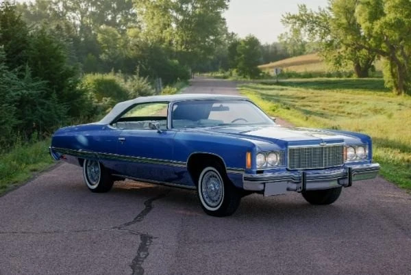 1974 Chevrolet Caprice - Image 3 of 21