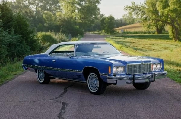 1974 Chevrolet Caprice - Image 5 of 21