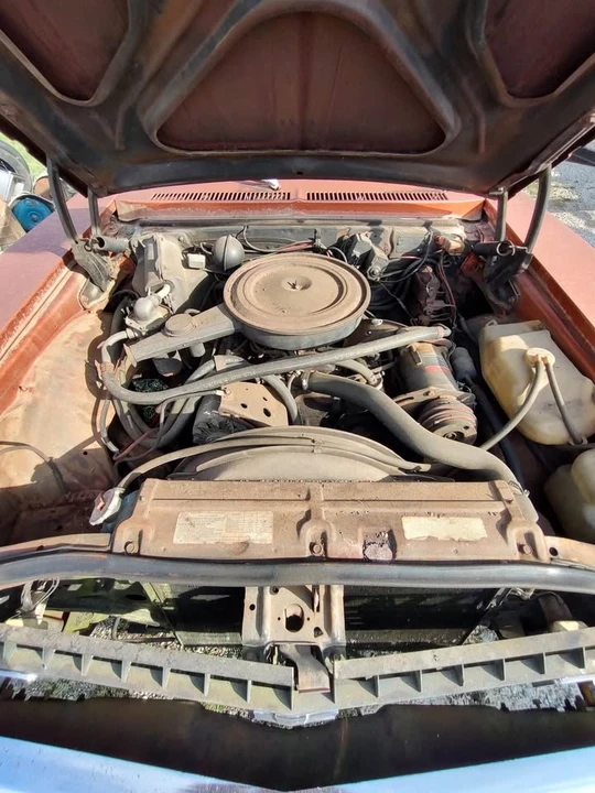 1974 Chevrolet Nova 3rd Gen - Image 5 of 5