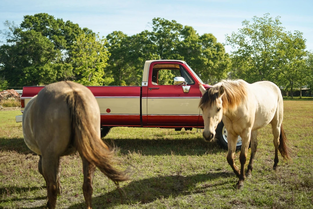 1974 Chevrolet C/K 3rd Gen - Image 13 of 31