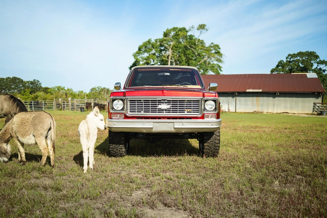 1974 Chevrolet C/K 3rd Gen - Image 19 of 31