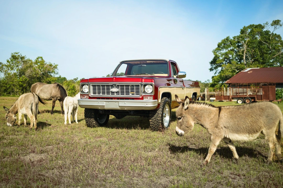 1974 Chevrolet C/K 3rd Gen - Image 21 of 31
