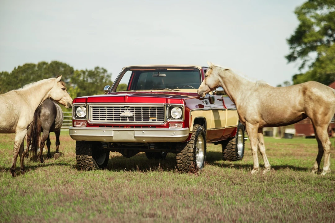1974 Chevrolet C/K 3rd Gen - Image 20 of 31