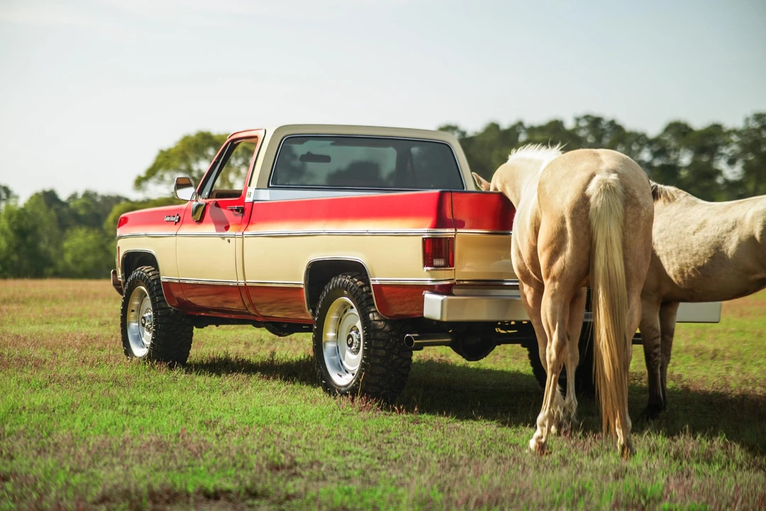1974 Chevrolet C/K 3rd Gen - Image 31 of 31