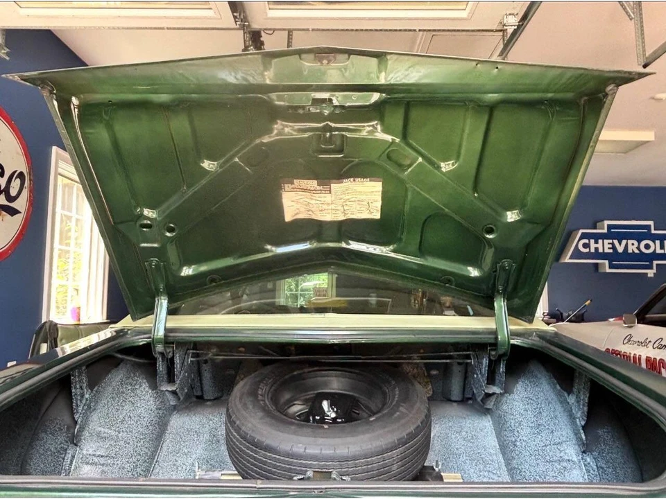 1974 Chevrolet Monte Carlo 2nd Gen - Image 19 of 21