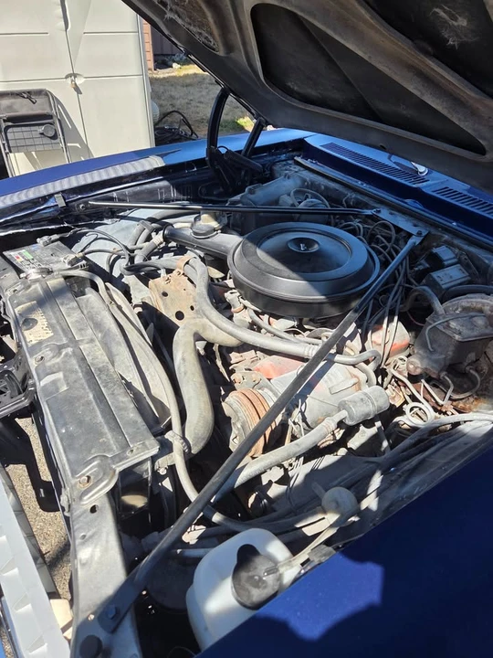 1974 Chevrolet Nova 3rd Gen - Image 7 of 14