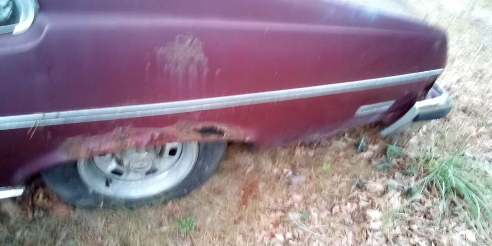 1974 Chevrolet Nova 3rd Gen - Image 5 of 10