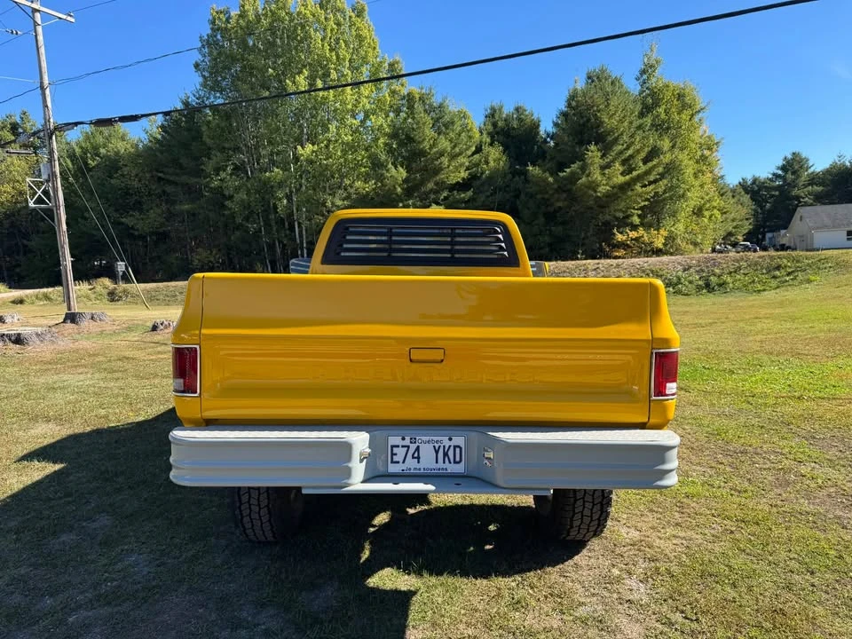1974 Chevrolet Silverado - Image 6 of 12
