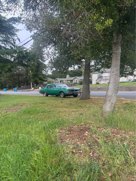 1974 Chevrolet Nova 3rd Gen - Image 3 of 11