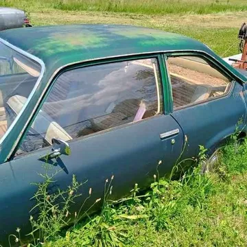 1974 Chevrolet Vega