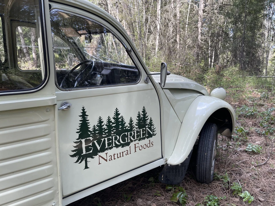 1974 Citroen 2CV - Image 15 of 31