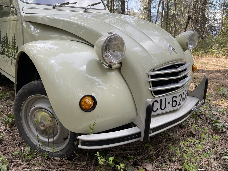 1974 Citroen 2CV - Image 12 of 31