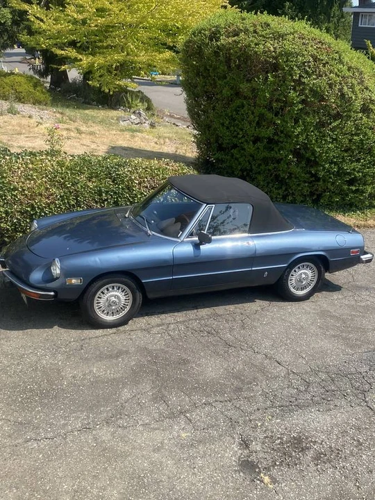 1974 Alfa Romeo Series 2 - Image 2 of 12