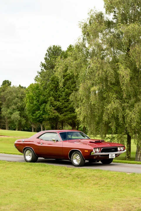 1974 Dodge Challenger 1st Gen - Image 30 of 31