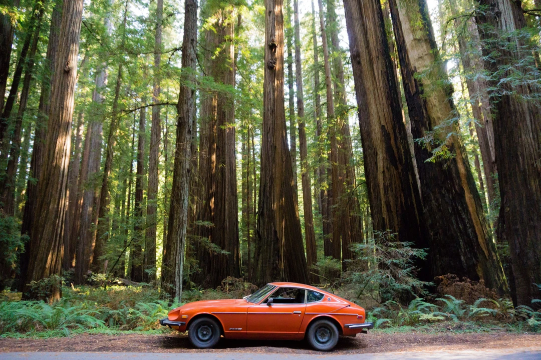 1974 Nissan Fairlady Z 1st Gen - Image 11 of 31