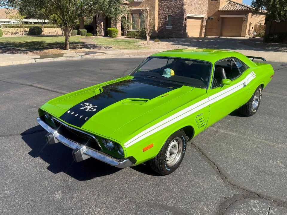 1974 Dodge Challenger 1st Gen - Image 3 of 5