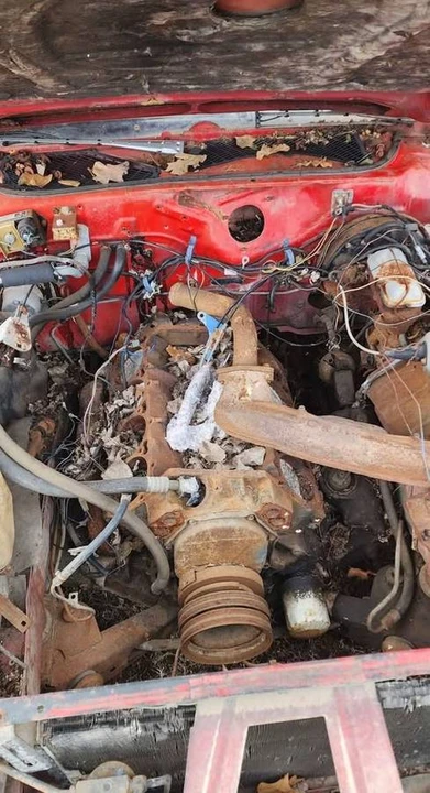 1974 Dodge Charger 3rd Gen - Image 4 of 8