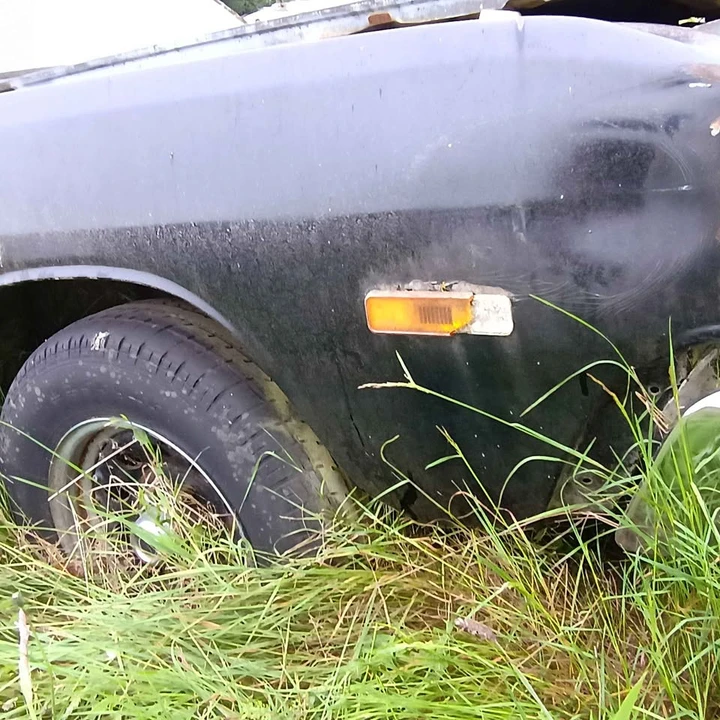 1974 Dodge Dart - Image 18 of 18