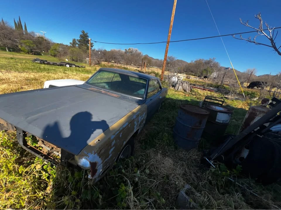1974 Dodge Dart - Image 3 of 19