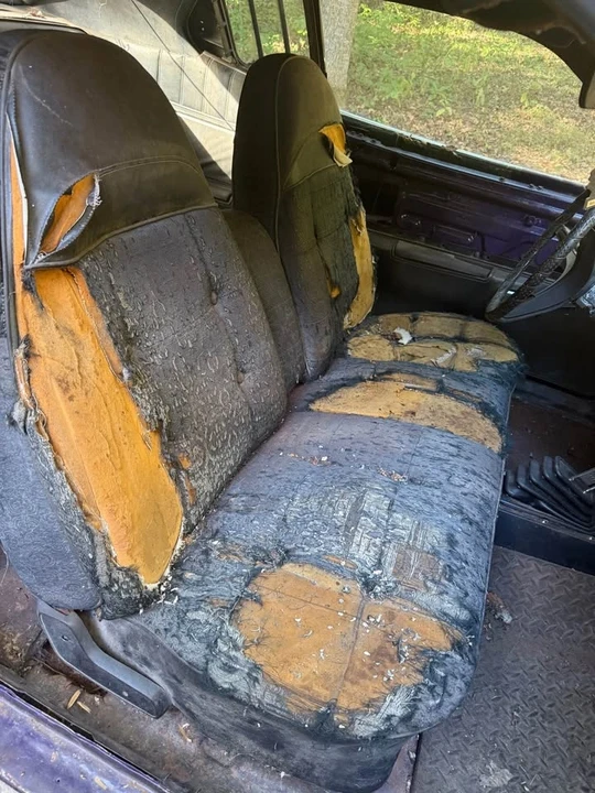 1974 Dodge Charger 3rd Gen - Image 8 of 12