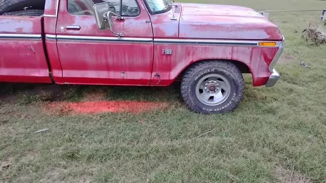 1974 Ford F1