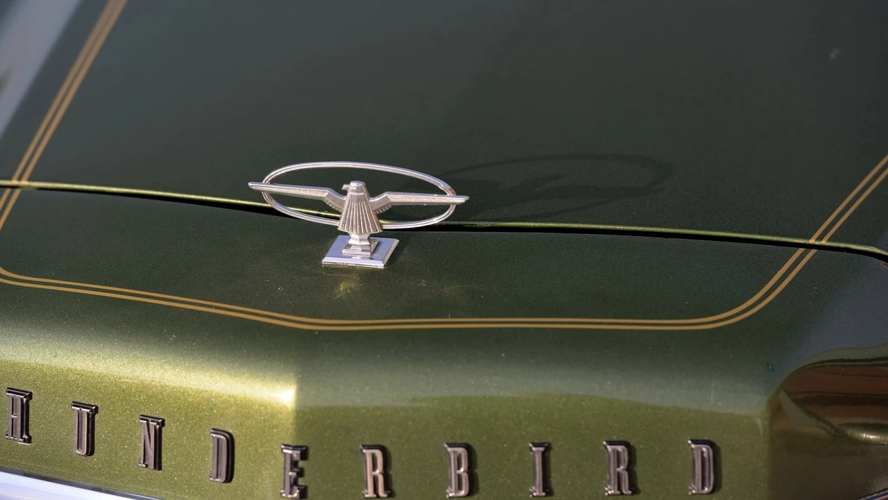 1974 Ford Thunderbird 6th Gen - Image 31 of 31