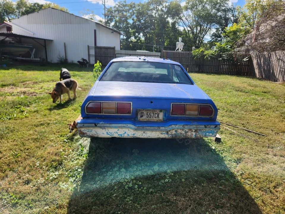 1974 Ford Mustang 2nd Gen - Image 2 of 10