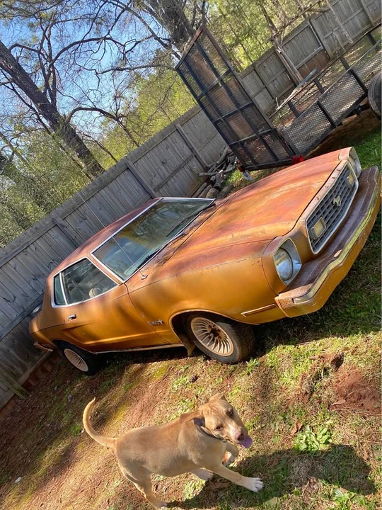 1974 Ford Mustang 2nd Gen - Image 2 of 7