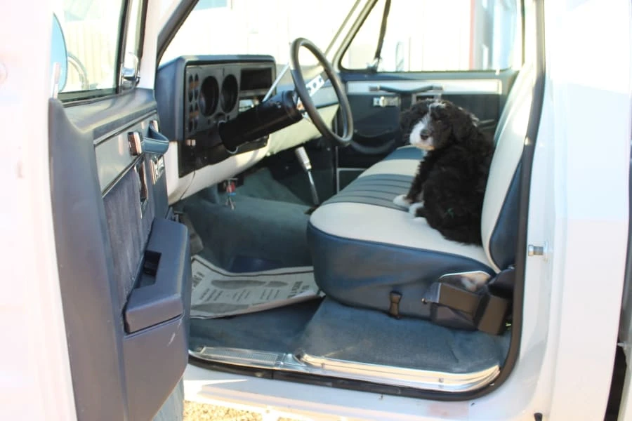 1974 GMC C/K 3rd Gen - Image 4 of 12