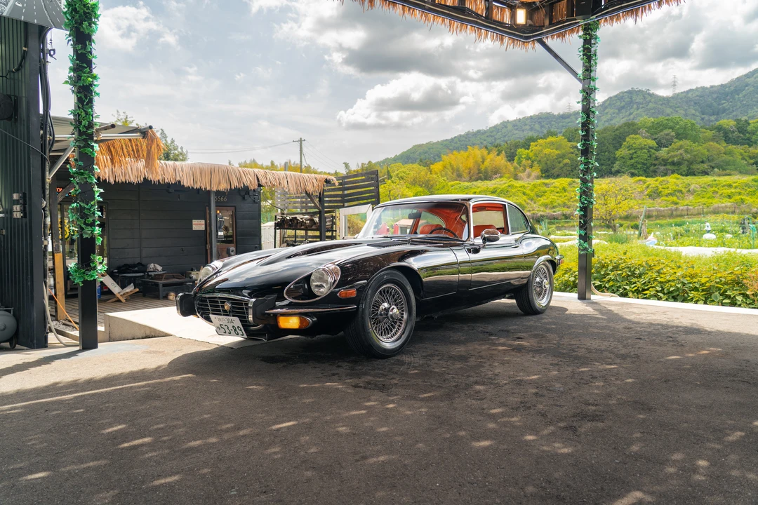 1974 Jaguar E-Type Series 3 V12 2+2 - Image 9 of 31