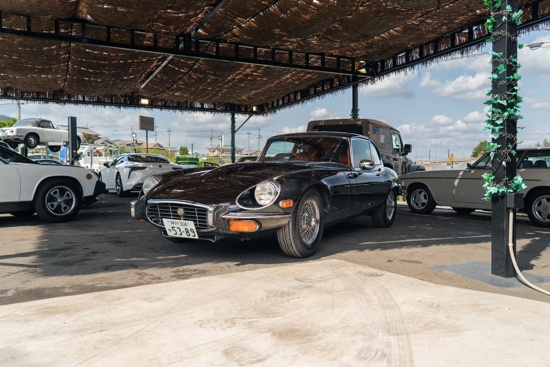1974 Jaguar E-Type Series 3 V12 2+2 - Image 2 of 31
