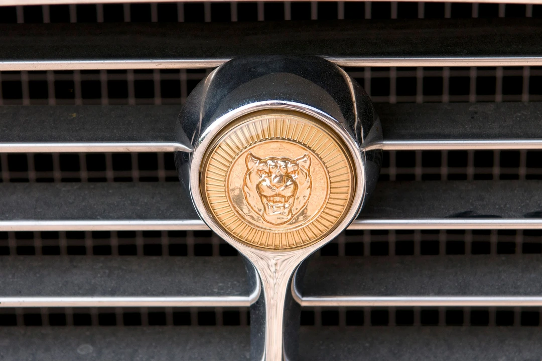1974 Jaguar E-Type Series 3 V12 - Image 3 of 6