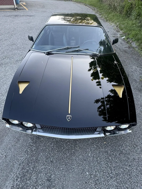 1974 Lamborghini Espada Series III - Image 25 of 31