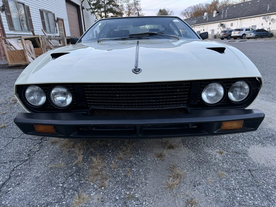 1974 Lamborghini Espada Series III - Image 4 of 31