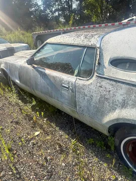 1974 Lincoln Continental Mark VII Bill Blass Designer 2D