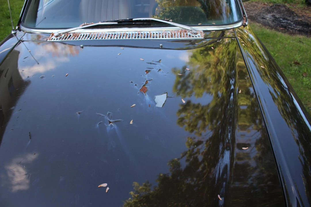 1974 Mercedes-Benz W114 & W115 - Image 19 of 31