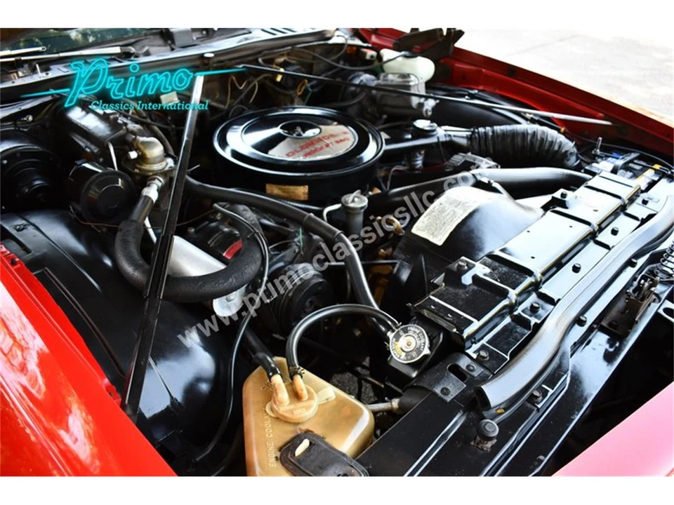 1974 Oldsmobile Cutlass 4th Gen - Image 29 of 31
