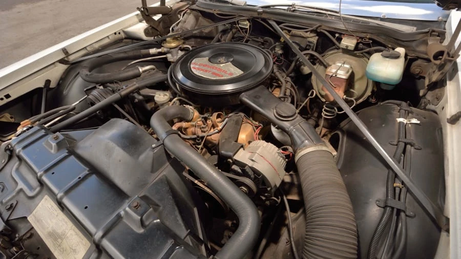 1974 Oldsmobile 88 - Image 18 of 20