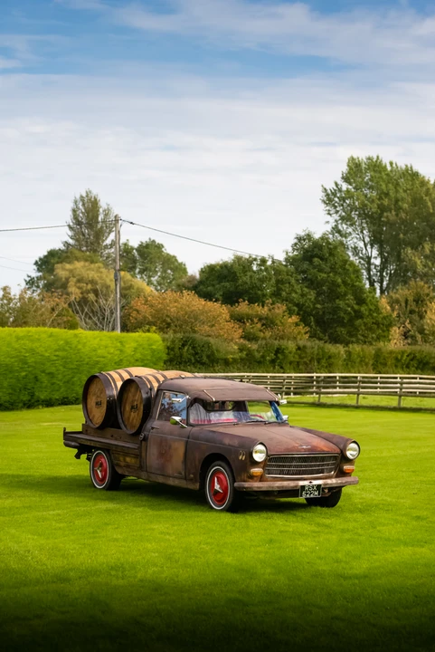 1974 Peugeot - Image 4 of 31