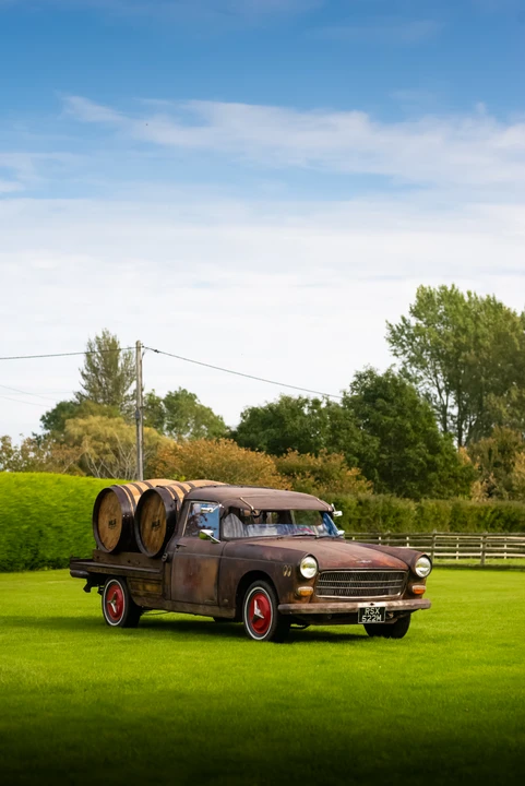 1974 Peugeot - Image 3 of 31