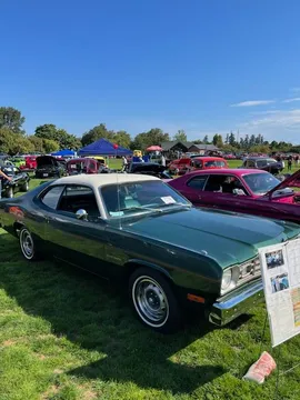 1974 Plymouth Gold Duster