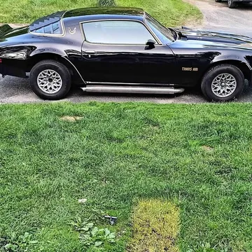 1974 Pontiac Firebird